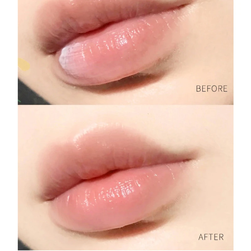 1Pc Natural Plant Lip Balm Moi - Lip Tint Korean ulasan dan harga